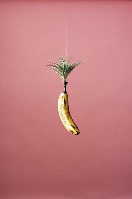 Banana Lovers #18: Banana-else 4983c1b5d737ae30ec5f9a7050c027a9