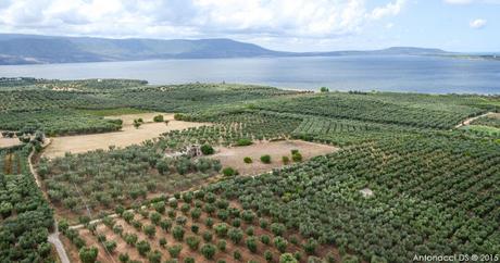 FOTOGALLERY: In volo sul Gargano nella piana del Lago di Varano