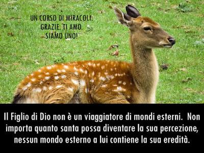 Nel mondo reale nessuno soffre perdite di nessun tipo. Parte 5. Nel mondo reale nessuno soffre perdite di nessun tipo. Parte 5.