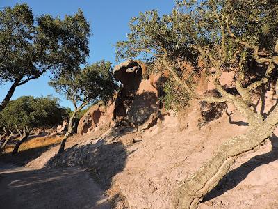 BREVE EXCURSUS SU ALCUNI SITI ARCHEOLOGICI PRESENTI A NURAXI FIGUS E A CORTOGHIANA - CI