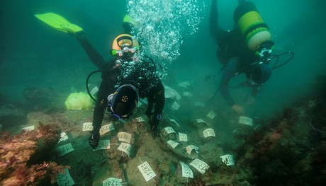 Straordinaria scoperta in Bretagna: recuperato il relitto di una nave con un carico di lingotti di stagno