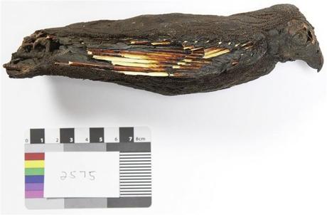 Gli Egizi allevavano rapaci per offrirli agli dèi Gli Egizi allevavano rapaci per offrirli agli dèi