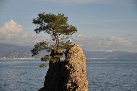 Posidonia Festival: a Santa Margherita Ligure l’ultima tappa del festival dell’ecologia