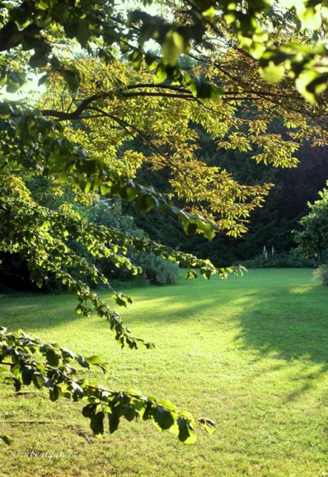 Giardino Colucci - Parmeggiani