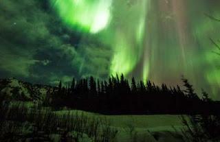 LA NOTTE SI FA PICCOLA. LA NOTTE SI FA PICCOLA.