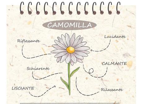 ricette camomilla