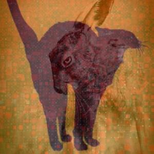 Di mici e lepri – Leggere poesie feline lepre e gatto, golem femmina