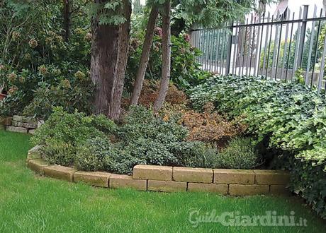 Potatura delle piante: si comincia in autunno giardini