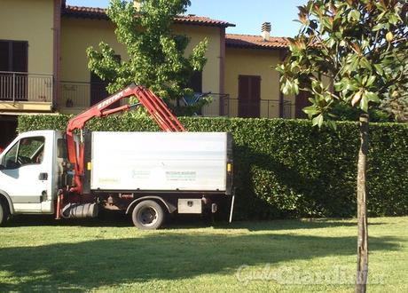 Potatura delle piante: si comincia in autunno potatura giardini 2