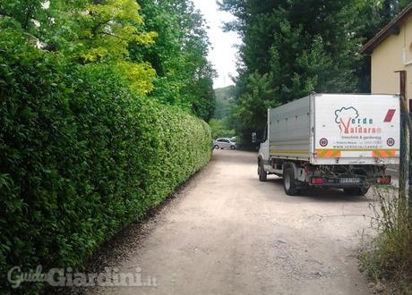 Potatura delle piante: si comincia in autunno potatura giardini