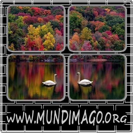 Autunno da #Mundimago