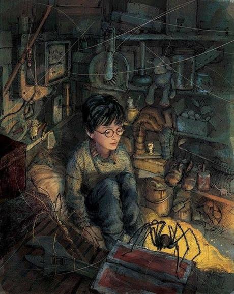 Harry Potter torna con un'edizione illustrata da collezione!