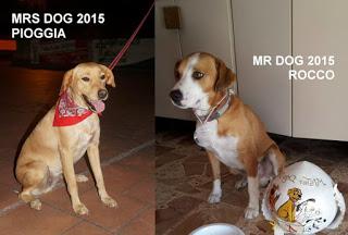 Mr&Mrs DOG 2015 - il giorno dopo