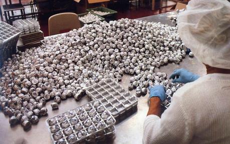 I miei Tempi Moderni I miei Tempi Moderni