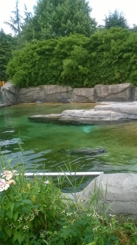 Parco Faunistico le Cornelle, il tour di Moda e Style – Part 2 ModaeStyle_Focacomune_LeCornelle