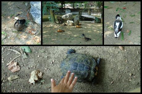 Parco Faunistico le Cornelle, il tour di Moda e Style – Part 2 ModaeStyle_LeCornelle