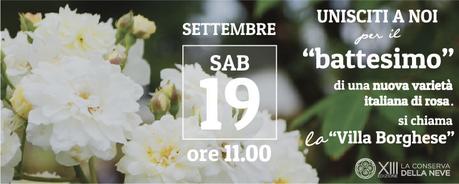 Dove sarai dal 18 al 20 Settembre? Unisciti a noi mentre #RomaRifiorisce con La Conserva della Neve! Ad-lCdN-Battesimo-43