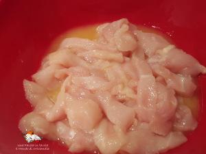 Tacos di Pollo all’Arancia e Nergi 20150910_171052