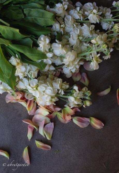 Come fare un mazzo di fiori naturali togliere foglie