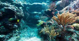 Special Tour: Lettori come stelle - Ambientazioni Special Tour: Lettori come stelle - Ambientazioni