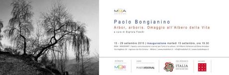Invito Made4Art - Paolo Bongianino. Arbor, arboris. Omaggio all'Albero della Vita