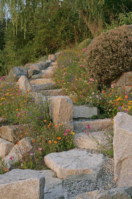 Giardini e piante tra paesaggi selvatici (su Houzz)