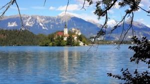 SLOVENIA lago bled rami web