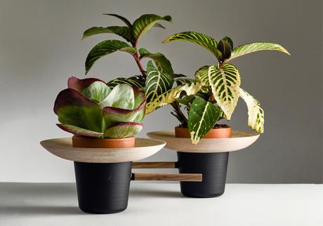 DESIGN: I quattro elementi di Nir Meiri DESIGN: I quattro elementi di Nir Meiri