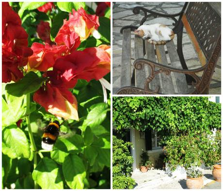 My Summer in Greece: Paxos & Mediterranean Greek Coast My Summer in Greece: Paxos & Mediterranean Greek Coast