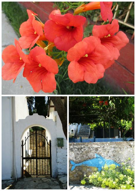 My Summer in Greece: Paxos & Mediterranean Greek Coast My Summer in Greece: Paxos & Mediterranean Greek Coast