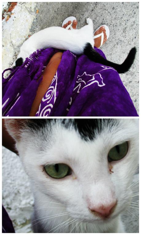 My Summer in Greece: Paxos & Mediterranean Greek Coast My Summer in Greece: Paxos & Mediterranean Greek Coast