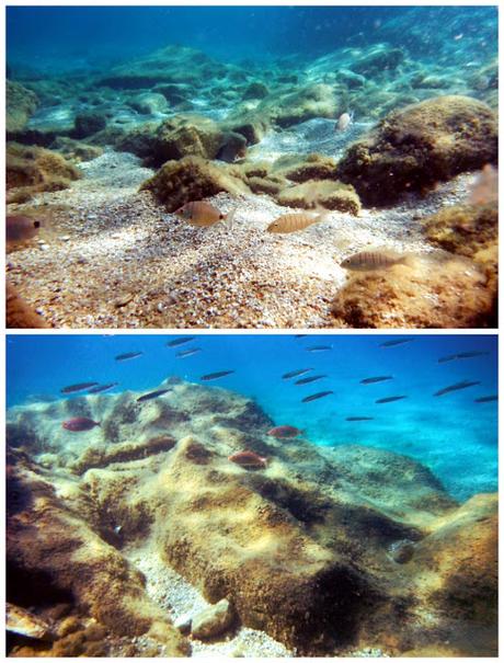 My Summer in Greece: Paxos & Mediterranean Greek Coast My Summer in Greece: Paxos & Mediterranean Greek Coast