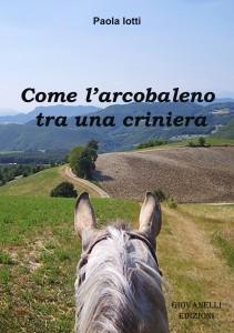 LIBRI E LISTE DELLA SPESA, le riflessioni di Paola Iotti Romanzo di Paola Iotti