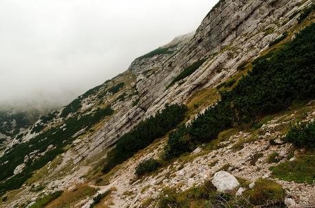 VOGEL: sentieri nascosti