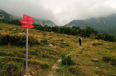 VOGEL: sentieri nascosti