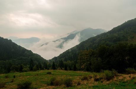 VOGEL: sentieri nascosti