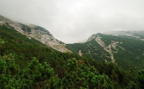 VOGEL: sentieri nascosti