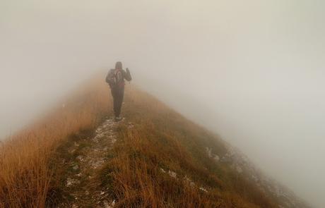 VOGEL: sentieri nascosti