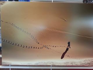 Nomachi - le vie dell'anima Nomachi - le vie dell'anima