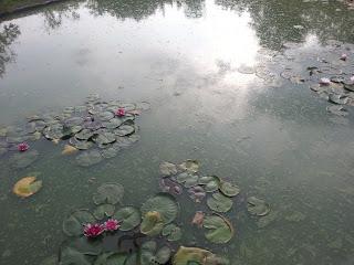 Nomachi - le vie dell'anima Nomachi - le vie dell'anima