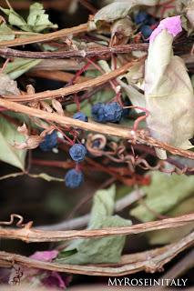 I colori dell'autunno