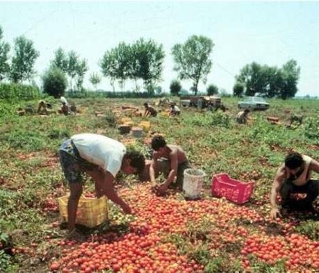 il Tè alla menta di benvenuto per l’Abbecedario Culinario Mondiale