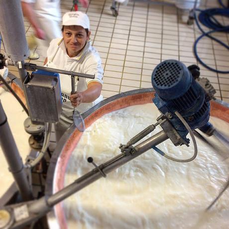 Vieni a conoscere chi lavora per te #caseificiaperti #parmigianoreggiano