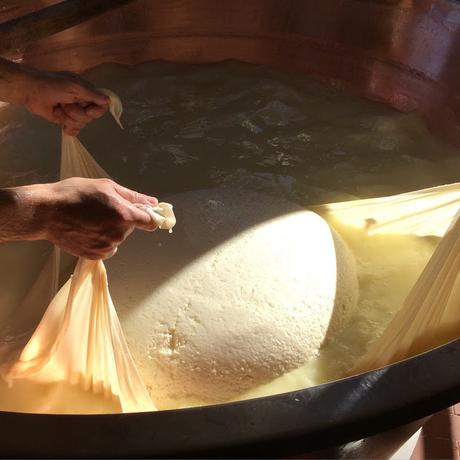 Vieni a conoscere chi lavora per te #caseificiaperti #parmigianoreggiano