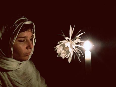 JESSIKA KENNEY JESSIKA KENNEY