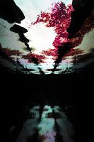 Milano Moda Donna: Herno P/E 2016 Milano Moda Donna: Herno P/E 2016