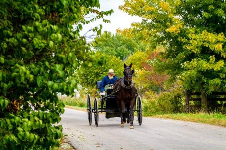 Amish: storia e regole per diventare uno di loro!