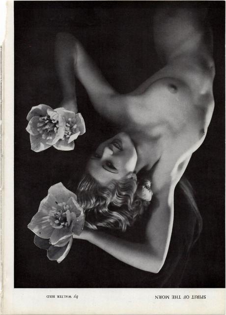 FOTOGRAFIA: I collage di Jasmine Farram FOTOGRAFIA: I collage di Jasmine Farram
