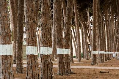 Contemporary Parks in Spain: Pinar del Perruquet Park, Salou.