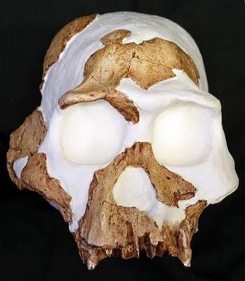 Cannibali del Pleistocene Cannibali del Pleistocene